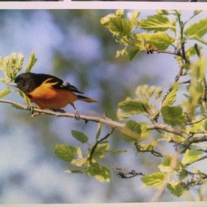 Meet your Posher, Bella